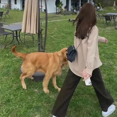 王的男人
